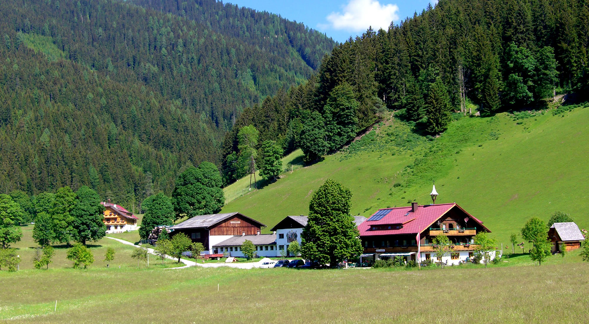 Der Walcherhof im Sommer eingebettet in grüne Wiesen und blühende Wälder in Österreich