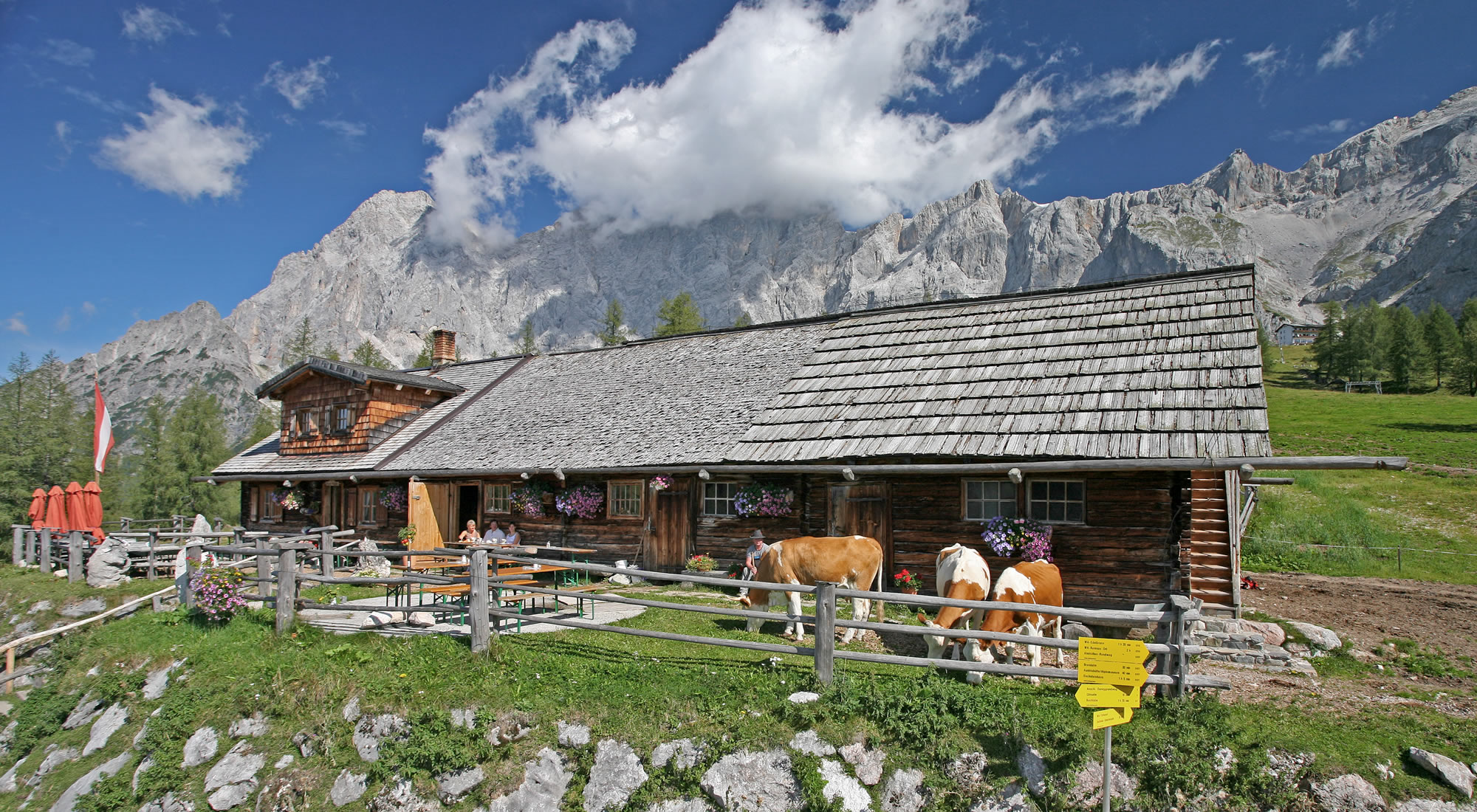 Walcheralm in Ramsau am Dachstein