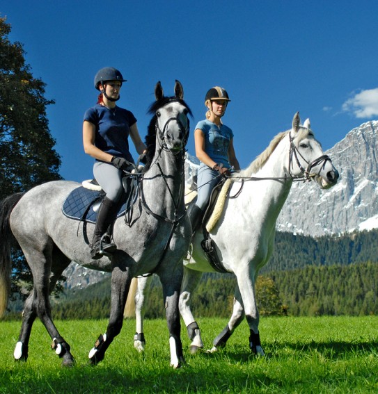 Ausritte in Ramsau am Dachstein