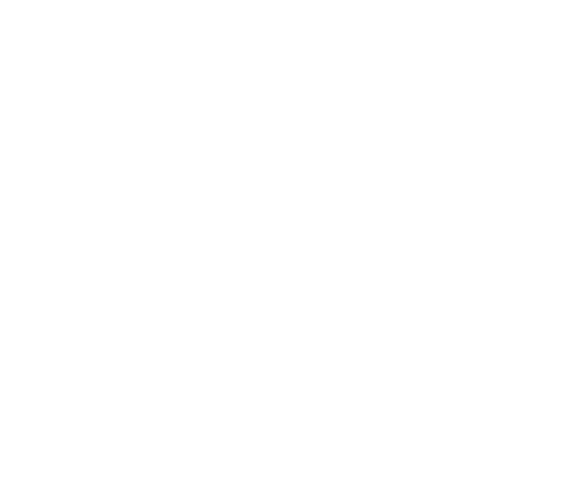 Frühlingsfest der Pferde 2018